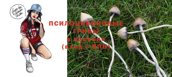соль курить ск Арсеньев