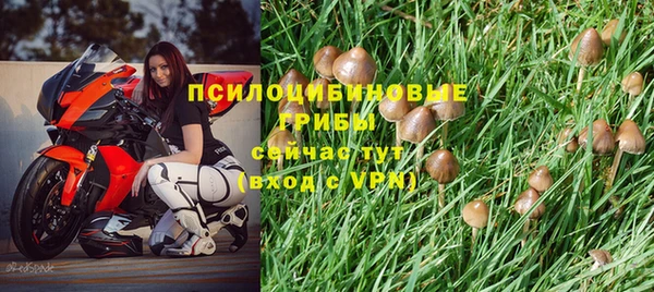 mix Аркадак